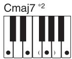CASIO CTK-900 - REMARQUE - 8