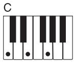 CASIO CTK-900 - REMARQUE - 1