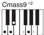 CASIO CTK-900 - REMARQUE - 13