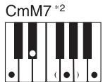CASIO CTK-900 - REMARQUE - 14