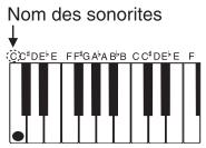 CASIO CTK-900 - REMARQUE - 1