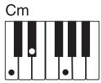 CASIO CTK-900 - REMARQUE - 2