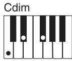 CASIO CTK-900 - REMARQUE - 3