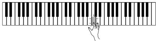 CASIO LK-40 - ■ Étape 3: Exécution normale - 3