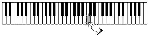 CASIO LK-40 - Appuyez sur le bouton STEP 2. - 3