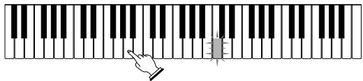 CASIO LK-40 - Essayez d'appuyer sur une des touches du clavier au lieu des boutons ONE KEY PLAY. - 1