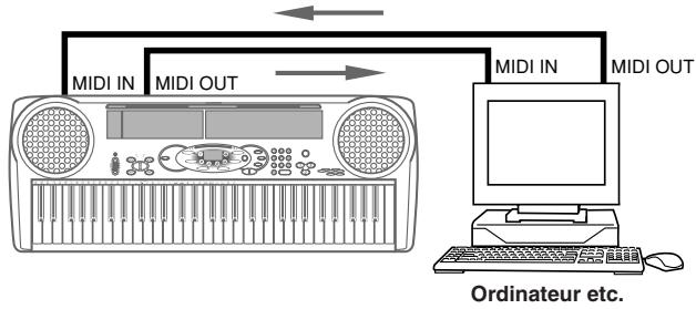 CASIO LK-40 - Connexions MIDI - 1