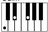 CASIO PX-410R - REMARQUE - 3