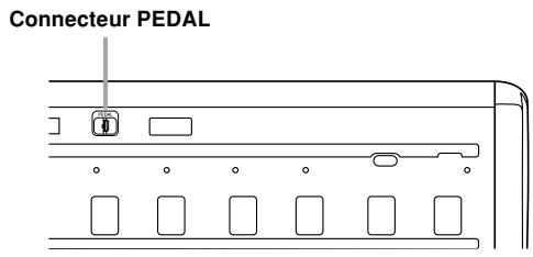 CASIO PX-410R - Connecteur PEDAL - 1
