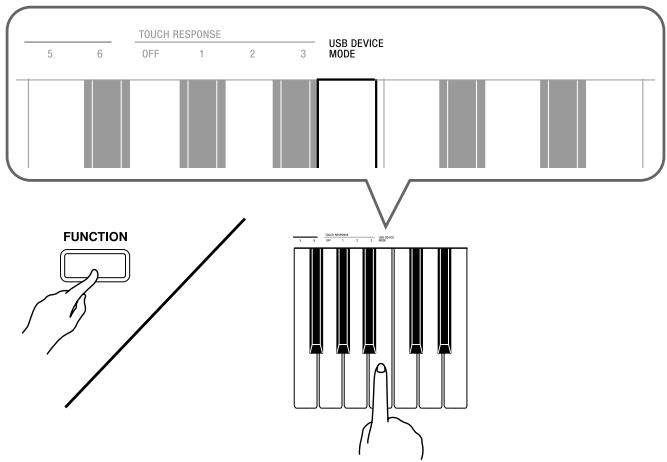 CASIO CELVIANO AP 220 - IMPORTANT! - 1