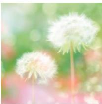 PANASONIC DMC TZ57 - [Mise au point douce] - 1