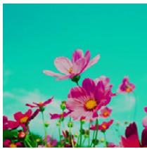 PANASONIC DMC TZ57 - [Dévelop. Croisé] - 1