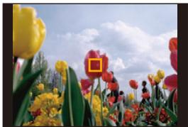 PANASONIC DMC TZ57 - Définissez la couleur à conserver - 1