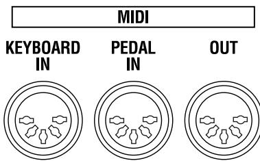 MIDI KEYBOARD IN PEDAL IN OUT