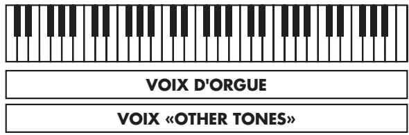 VOIX D'ORGUE VOIX «OTHER TONES»