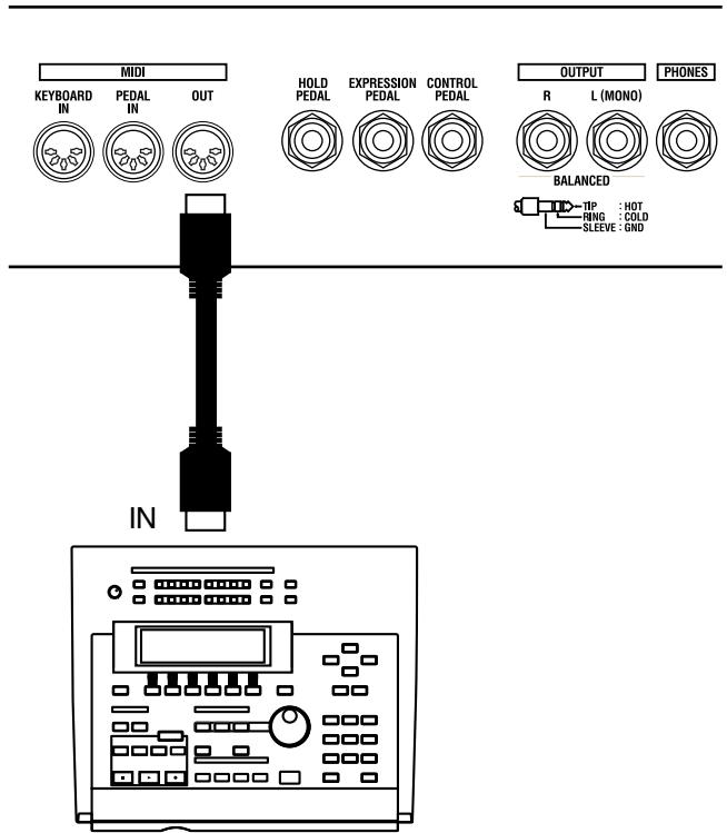 MIDI KEYBOARD IN PEDAL IN OUT HOLD PEDAL EXPRESSION PEDAL CONTROL PEDAL OUTPUT R L (MONO) PHONES BALANCED S IN TIP : HOT RING : COLD SLEEVE : GND