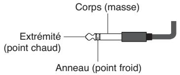 Corps (masse) Extrémité (point chaud) Anneau (point froid)