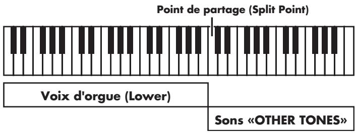 Point de partage (Split Point) Voix d'orgue (Lower) Sons «OTHER TONES»