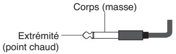 Corps (masse) Extrémité (point chaud)