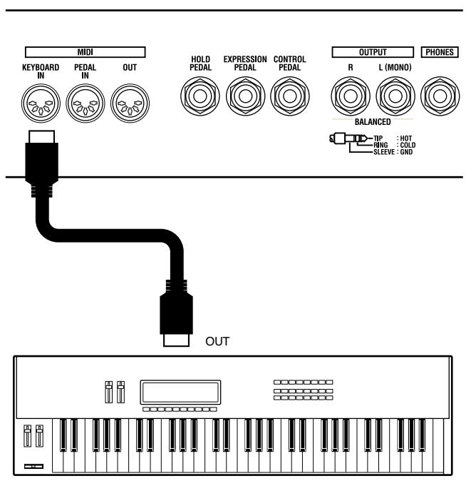 MIDI KEYBOARD IN PEDAL IN OUT HOLD PEDAL EXPRESSION PEDAL CONTROL PEDAL OUTPUT R L (MONO) PHONES BALANCED TP : HOT RNG : COLD SLEEVE : GND OUT