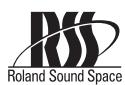 ROLAND VS2000CD - RSS PAN - 1