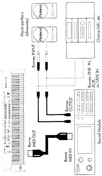 ROLAND A-33 - Installation avec module - 1