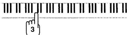 ROLAND A-90 - Choix des tessitures - 8