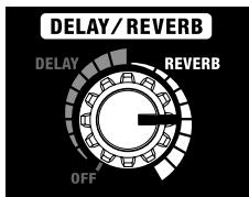 ROLAND CUBE-30 BASS - Bouton delay/reverb - 2