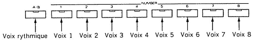 A/B 1 2 3 4 5 6 7 8 Voix rythmique Voix 1 Voix 2 Voix 3 Voix 4 Voix 5 Voix 6 Voix 7 Voix 8 NUMBER