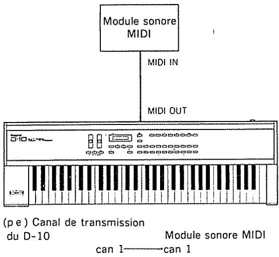 Module sonore MIDI MIDI IN MIDI OUT (p e ) Canal de transmission du D-10 Module sonore MIDI can 1——can 1