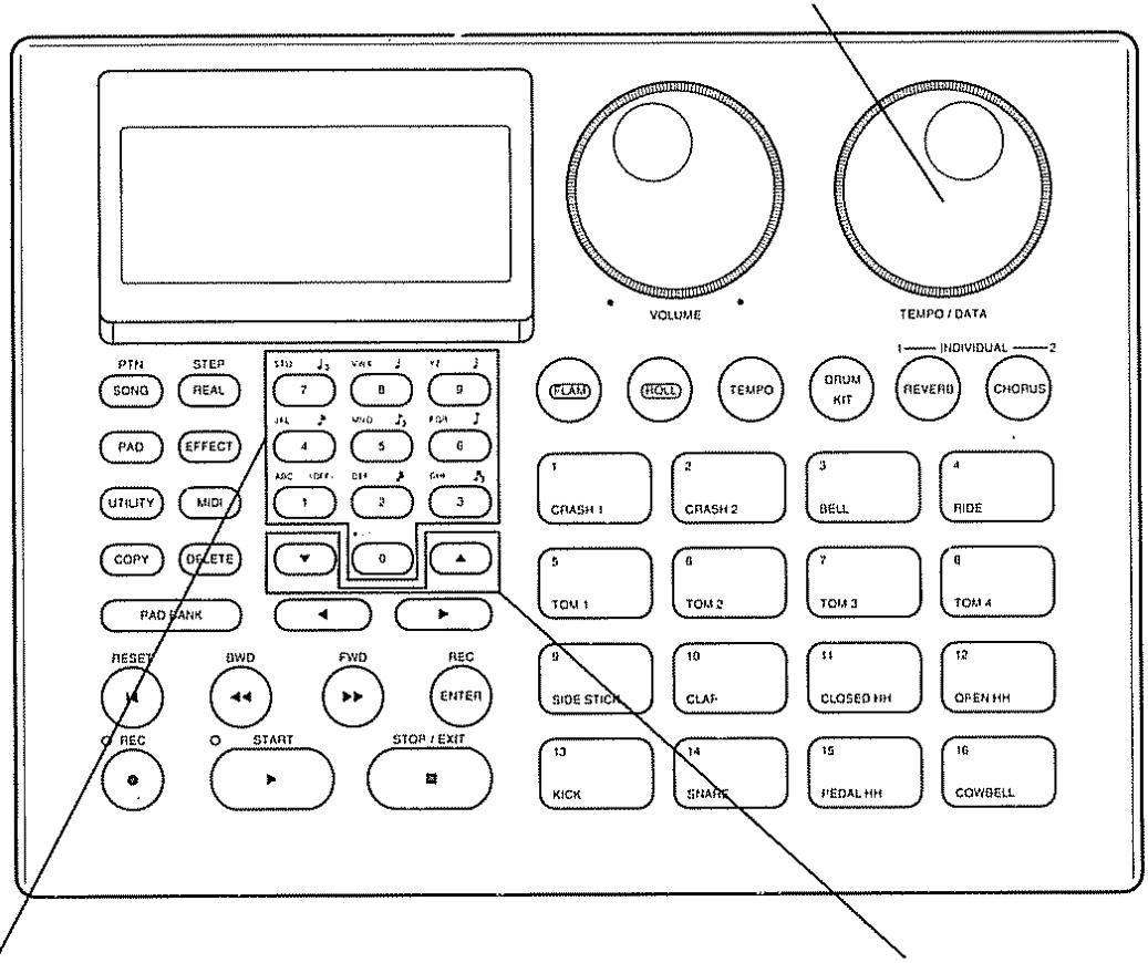 ROLAND DR-660 - Mollete TEMPO/DATA - 1
