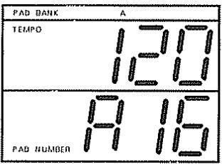 ROLAND DR-660 - DECAY (chute) : - 31 - + 31 - 2