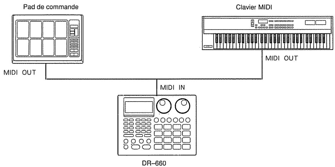 ROLAND DR-660 - [3] Esclave : utiliser la DR-660 comme module de sons MIDI / Maître : contrôle d'un apparéil MIDI externe - 1