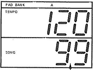 ROLAND DR-660 - [Procedure] - 2