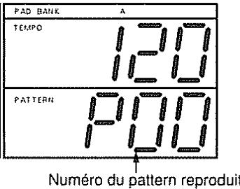 ROLAND DR-660 - Reproduction de patterns - 3