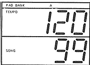 ROLAND DR-660 - [Procedure] - 8