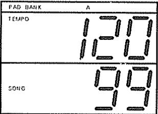 ROLAND DR-660 - [Procedure] - 6