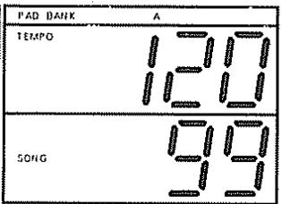 ROLAND DR-660 - [Procedure] - 4