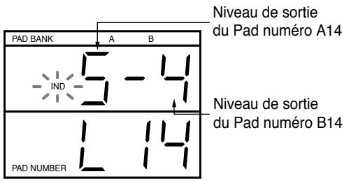 PAD BANK A B IND 5-4 Niveau de sortie du Pad numéro A14 Niveau de sortie du Pad numéro B14 PAD NUMBER 1-14
