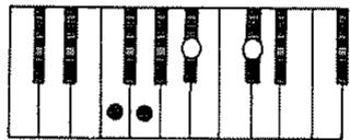 ROLAND E-20 - Accords Mineurs Septième quinte diminuée (O) - 2