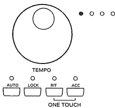 ROLAND E-96 - Cadran tempo et témoins - 1