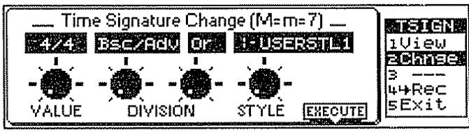 ROLAND E-96 - TSign (armure de temps) - 1