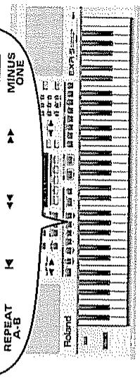 ROLAND EXR-3 - Fonctions supplémentaires de reprographie - 1