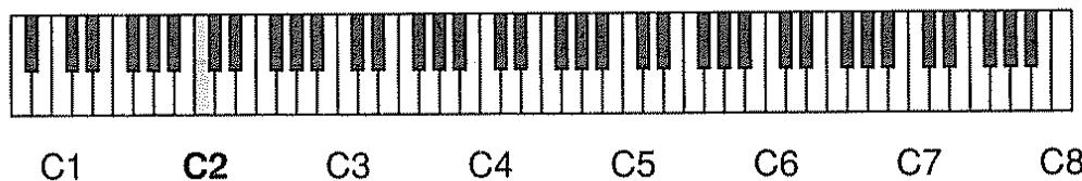 ROLAND FC-200 - Tessiture - 2