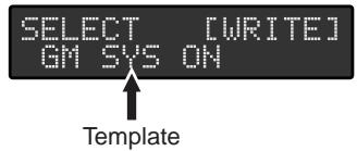 SELECT [WRITE] GM SYS ON Template