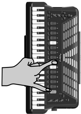 ROLAND FR-7 - Bass link - 2