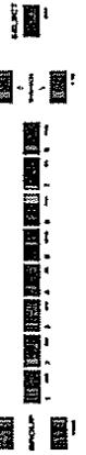 ROLAND G-1000 - Disk list edit: programmation de la base - 2