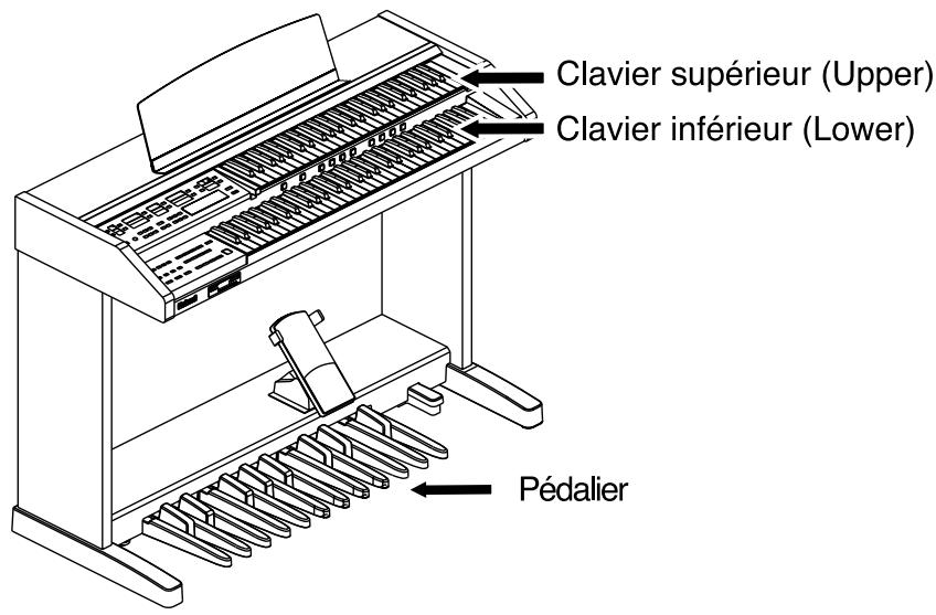 Clavier supérieur (Upper) Clavier inférieur (Lower) Pédalier