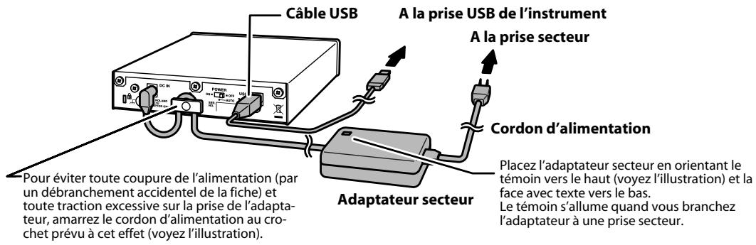 ROLAND CD-01A - Connexion à un instrument - 1