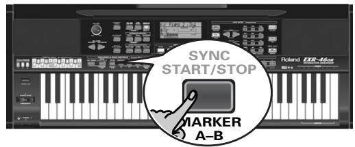 ROLAND EXR-46 OR - Reproduction en boucle (repeat) - 1